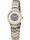 Regent Damen Solar Titan