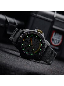 MASTER CARBON SEAL 3800 SERIES limitiert