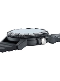 SEA TURTLE GIANT 0320 SERIES