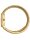 Signature Snake, Sognia, Gold Color, Champagne