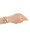 Signature Snake, Sognia, Gold Color, Silver Tricolor