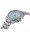 Supersport Chrono 42mm Hellblau