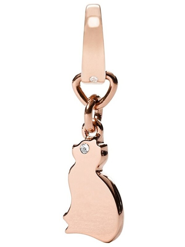 Fossil NATURE JF02037791, Charm